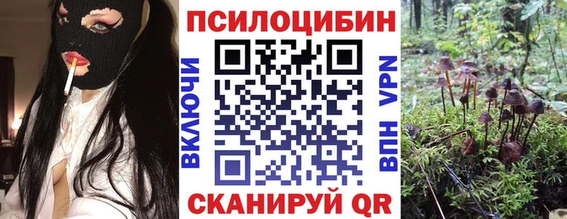наркошоп Болхов Псилоцибиновые грибы мицелий